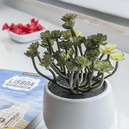 Republica Bed & Breakfast Лиссабон